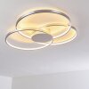 Skanes Taklampa LED Nickel matt, 1-ljuskällor