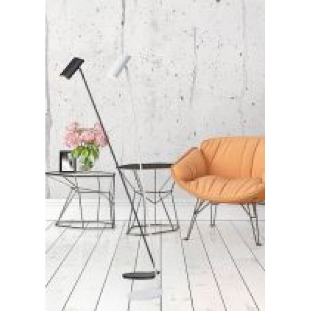 Lucide HESTER Golvlampa Svart, 1-ljuskällor main product photo