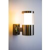 Leon vägglampa utomhus, Vägglampa LED Färg i rostfritt stål, 1-ljuskällor