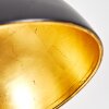Parola Golvlampa, Läslampa Svart, 1-ljuskällor