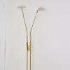 Gulkana Golvlampa, Golvlampa LED Guld, 2-ljuskällor