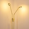 Gulkana Golvlampa LED Guld, 2-ljuskällor