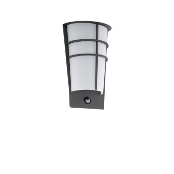 Eglo Eglo Vägglampa LED Antracit, 2-ljuskällor, Rörelsedetektor
