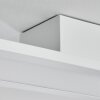 Ailik Taklampa, Panel LED Vit, 1-ljuskällor