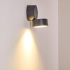 Ripen vägglampa utomhus, Vägglampa LED Antracit, 1-ljuskällor