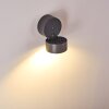 Ripen vägglampa utomhus, Vägglampa LED Antracit, 1-ljuskällor