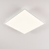 Antria Taklampa LED Vit, 1-ljuskällor