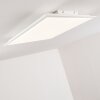 Antria Taklampa LED Vit, 1-ljuskällor