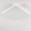 Antria Taklampa LED Vit, 1-ljuskällor