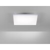 Paul Neuhaus Lampor FRAMELESS Taklampa, Panel LED Vit, 1-ljuskällor, Fjärrkontroll