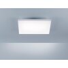 Paul Neuhaus Lampor FRAMELESS Taklampa, Panel LED Vit, 1-ljuskällor, Fjärrkontroll