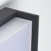 Skove Vägglampa LED Antracit, 1-ljuskällor
