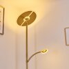Cazis strålkastare, Golvlampa LED Mässing, 2-ljuskällor