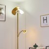 Cazis strålkastare, Golvlampa LED Mässing, 2-ljuskällor