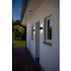 Lutec Lampor Lutec Vägglampa LED Antracit, 1-ljuskällor