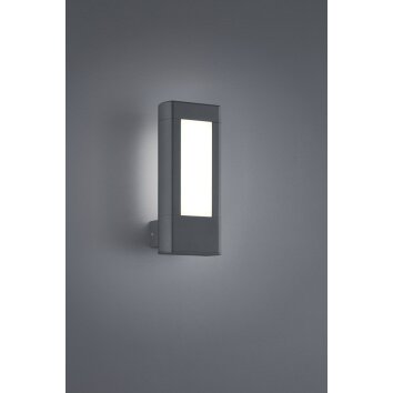 Trio Lampor RHINE Vägglampa LED Antracit, 2-ljuskällor