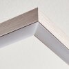 Tampere Taklampa LED Nickel matt, 4-ljuskällor