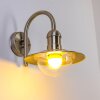 Elima vägglampa utomhus, Vägglampa Färg i rostfritt stål, 1-ljuskällor