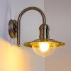 Elima vägglampa utomhus, Vägglampa Färg i rostfritt stål, 1-ljuskällor