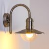 Elima vägglampa utomhus, Vägglampa Rostfritt stål, 1-ljuskällor