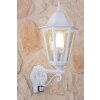 Lutec Lampor BRISTOL vägglampa utomhus, Vägglampa Genomskinlig, klar, Vit, 1-ljuskällor, Rörelsedetektor
