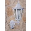 Lutec Lampor BRISTOL vägglampa utomhus, Vägglampa Genomskinlig, klar, Vit, 1-ljuskällor, Rörelsedetektor