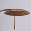 Steinhauer Zenith Golvlampa, Båglampor LED Brons, 1-ljuskällor