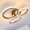 Volonne Taklampa LED Färg i rostfritt stål, Silver, 3-ljuskällor