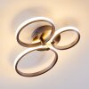 Volonne Taklampa LED Rostfritt stål, Silver, 3-ljuskällor