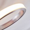 Volonne Taklampa LED Rostfritt stål, Silver, 3-ljuskällor