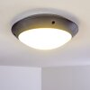 Grafton Taklampa för utomhusbruk Antracit, 1-ljuskällor
