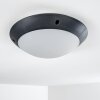 Grafton Taklampa för utomhusbruk Antracit, 1-ljuskällor