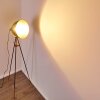 Sorsele Golvlampa Kopparfärg, Svart, 1-ljuskällor