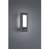Trio Lampor RHINE vägglampa utomhus, Vägglampa LED Antracit, 2-ljuskällor, Rörelsedetektor