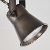 Skodsbol Taklampa, Takstrålkastare Antracit, Trä ljus, 2-ljuskällor