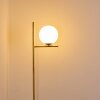 Hogatza Golvlampa Mässing, 1-ljuskällor