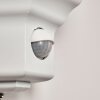 Brissago vägglampa utomhus, Vägglampa Vit, 1-ljuskällor, Rörelsedetektor