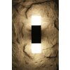 Trio HUDSON vägglampa utomhus, Vägglampa Svart, 2-ljuskällor