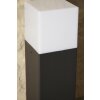 Trio HUDSON vägglampa utomhus, Vägglampa Svart, 2-ljuskällor