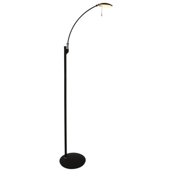 Steinhauer Zenith Golvlampa, Golvlampa LED Svart, 1-ljuskällor