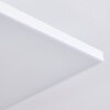 Bankura Taklampa, Panel LED Vit, 1-ljuskällor, Fjärrkontroll