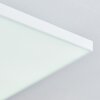 Bankura Taklampa, Panel LED Vit, 1-ljuskällor, Fjärrkontroll