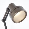 Brilliant Lampor Hardwork Bordslampa Färg i rostfritt stål, Svart, 1-ljuskällor