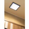 Trio TRAVE Taklampa LED Antracit, 1-ljuskällor