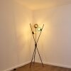 Iroquois Golvlampa färgglada, Svart, 3-ljuskällor
