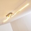 Globo Jamjo Taklampa LED Nickel matt, 1-ljuskällor