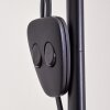 Barbengo Golvlampa Brun, Svart, 2-ljuskällor