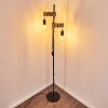 Barbengo Golvlampa Brun, Svart, 2-ljuskällor