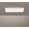 Paul Neuhaus Lampor FRAMELESS Taklampa, Panel LED Vit, 1-ljuskällor, Fjärrkontroll