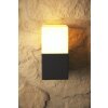 Trio HUDSON vägglampa utomhus, Vägglampa Svart, 1-ljuskällor